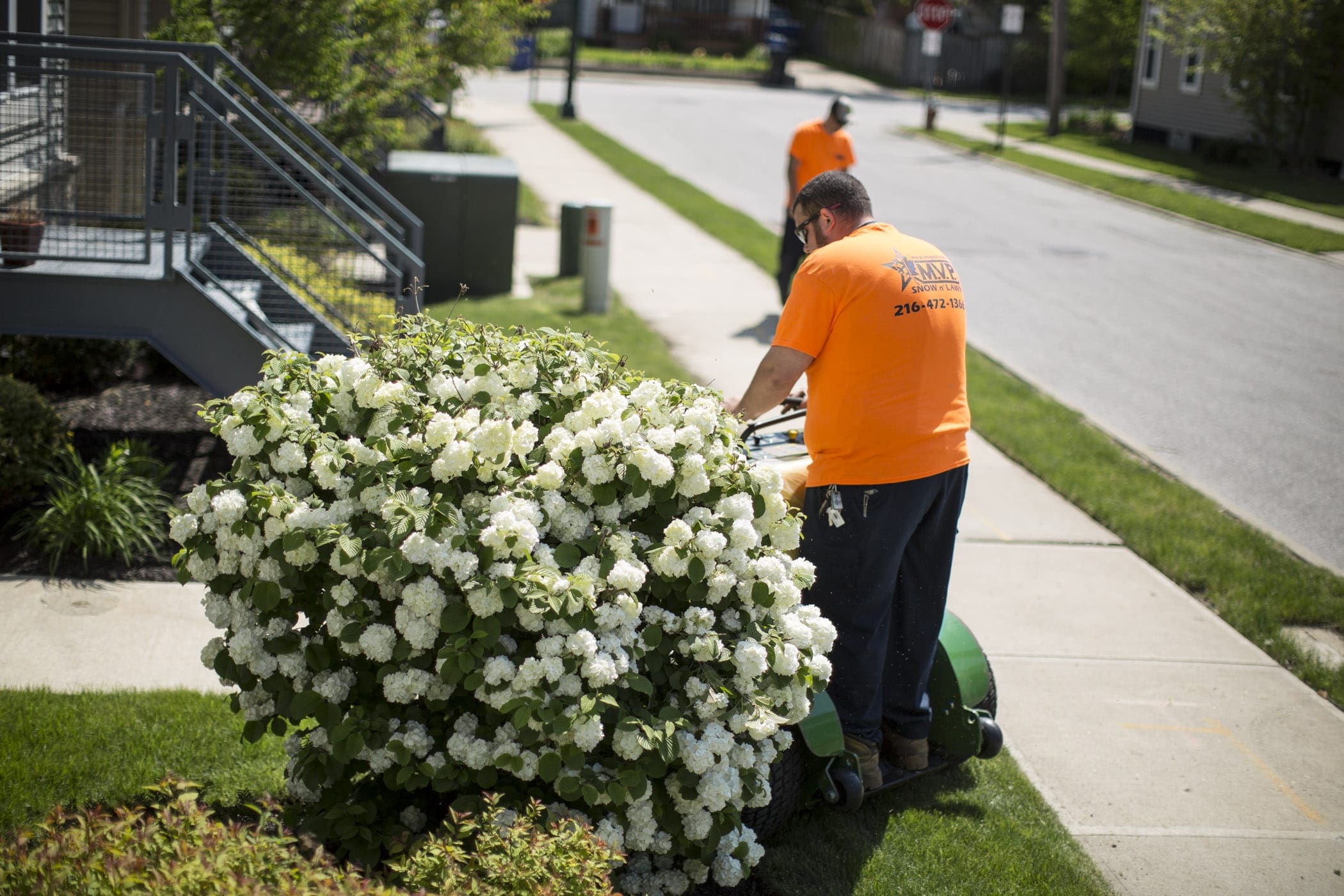 fairview-park-ohio-residential-landscaping-services