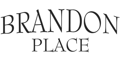 https://www.mvpsnl.com/wp-content/uploads/2023/03/brandonplace-logo_HOA.png